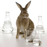 Картинки по запросу тестирование лекарств на животных